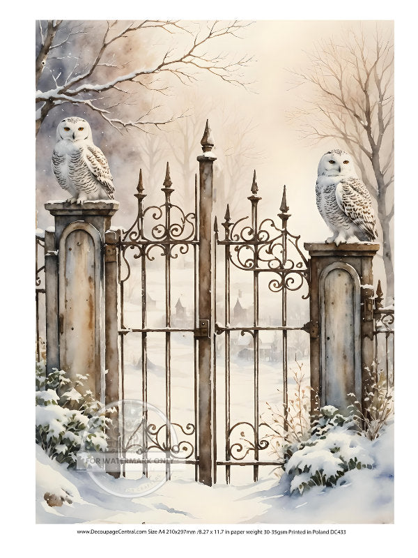 A4 Guardian Snowy Owl's Rice Paper