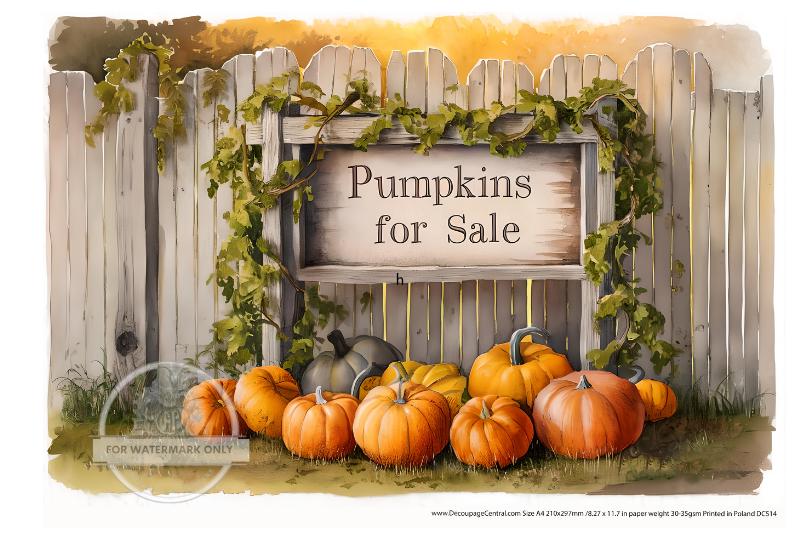 A4 Pumpkins for Sale Rice Paper - Fall, Autumn