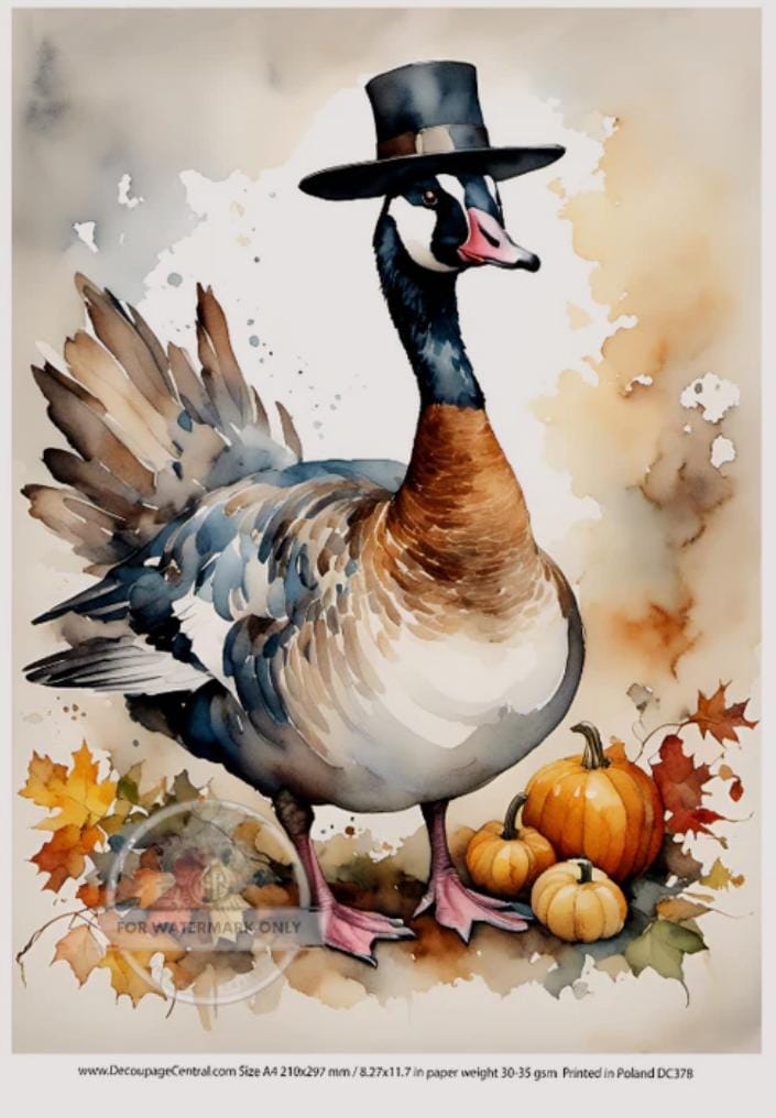 A4 Pilgrim Goose Thanksgiving Rice Paper - Fall, Autumn