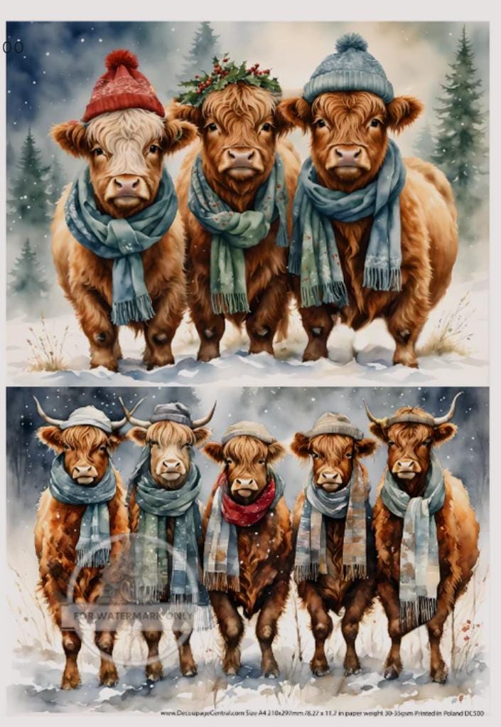 A4 Christmas Cows Duo Rice Paper