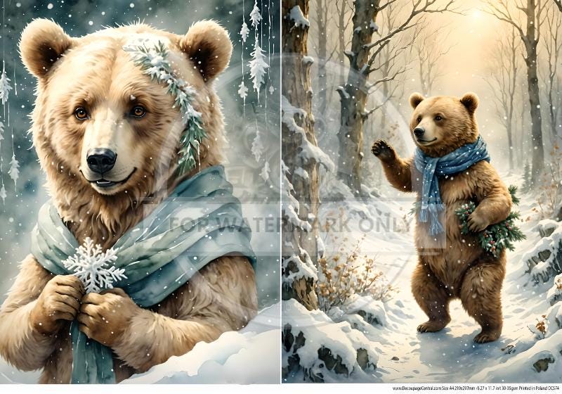A4 Winter Bear Duo Rice Paper