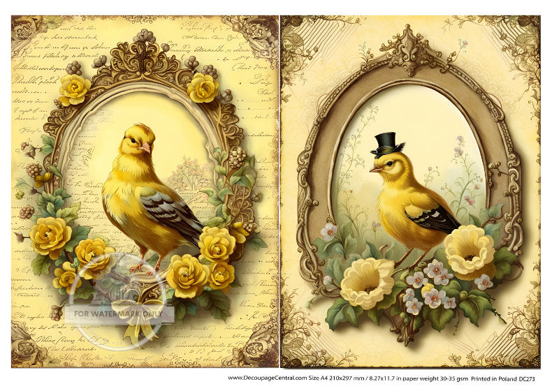 A4 Goldfinch Duo Rice Paper