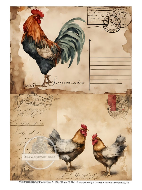 A4 Rooster and Hen Postal Rice Paper