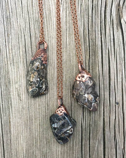 Fossil Turritella Agate Copper Electroformed Pendant