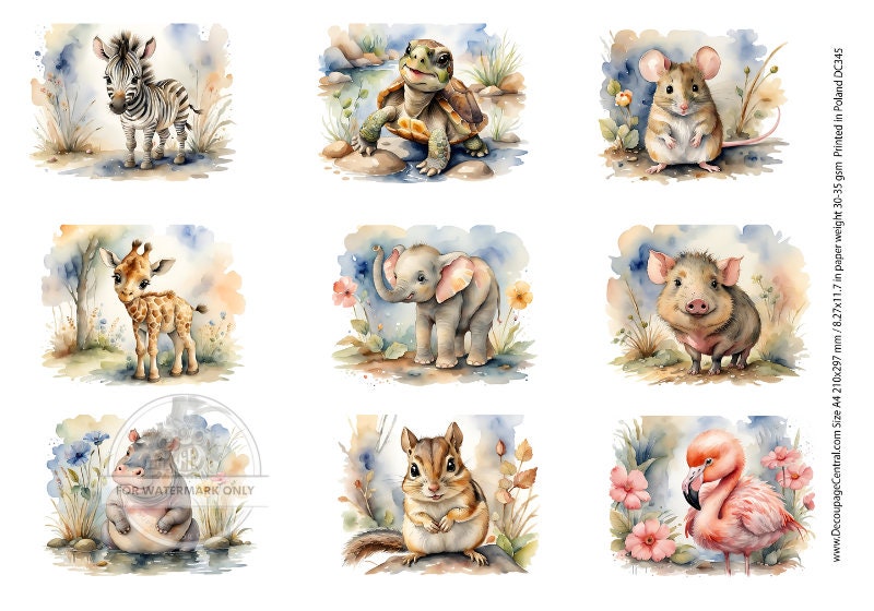 A4 Zoo Babies Rice Paper