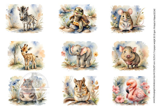 A4 Zoo Babies Rice Paper