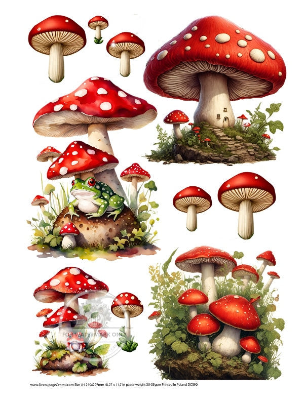 A4 Mushrooms and Toads Rice Paper