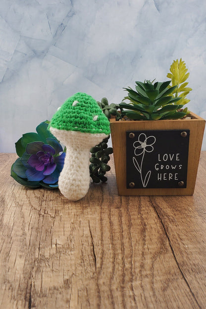 Handcrafted crocheted mushroom buddy named Miles. White and green mushroom with white spots.