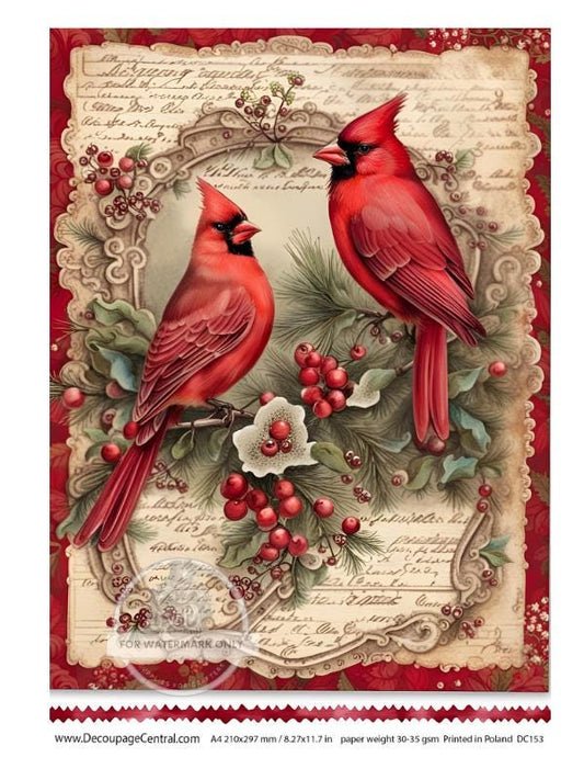 A4 Pair of Red Christmas Cardinals Rice Paper