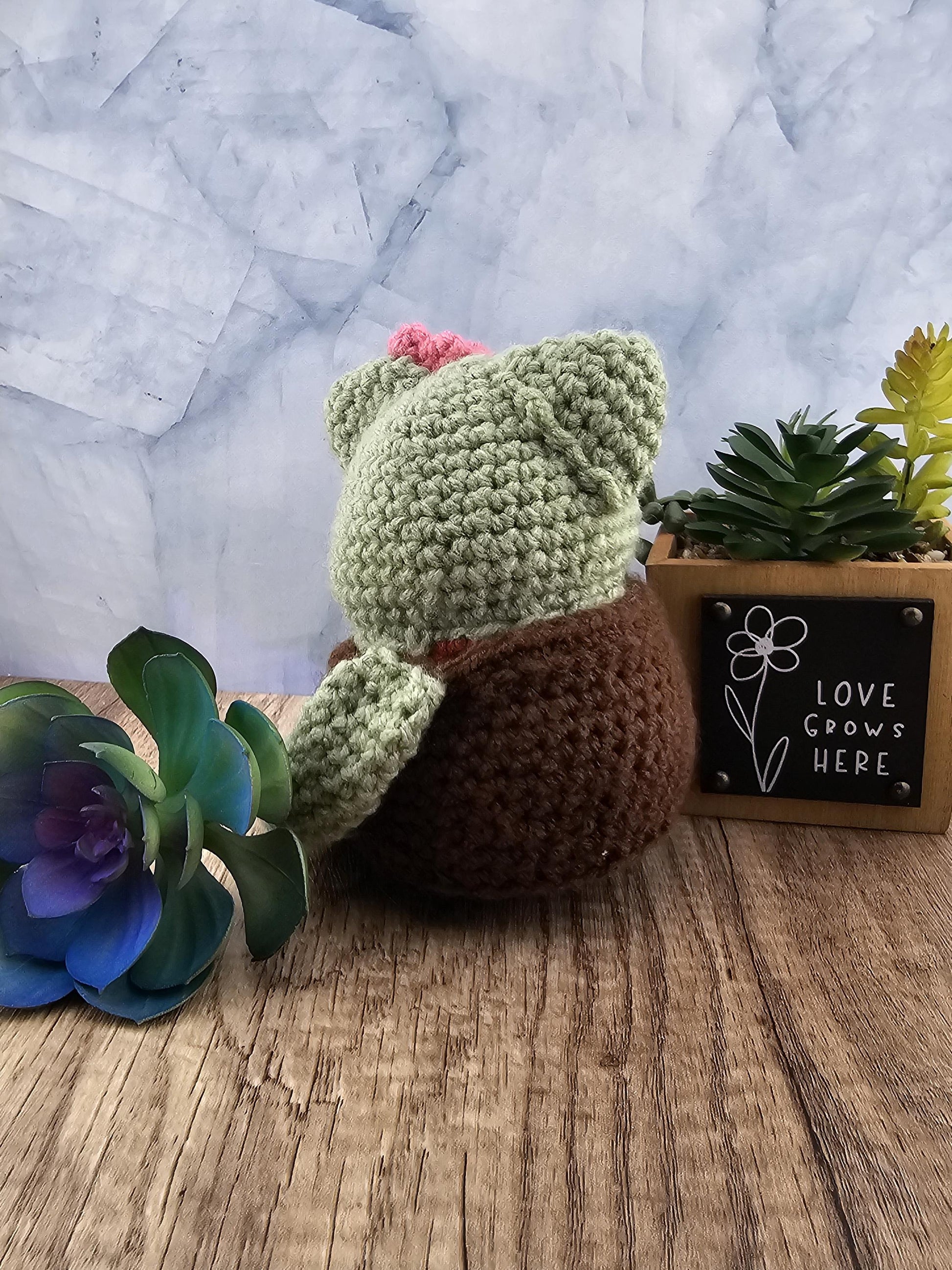 Handcrafted crocheted Cactus Cat named Princess Cacti
