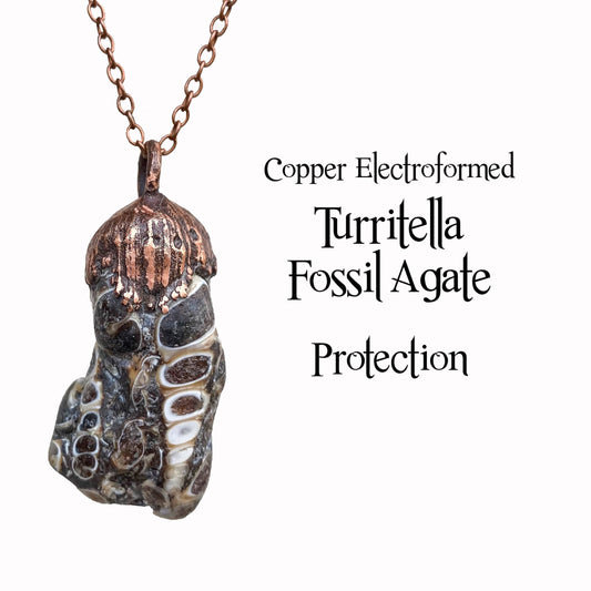 Fossil Turritella Agate Copper Electroformed Pendant