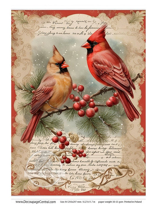 A4 Pair of Christmas Cardinals Rice Paper