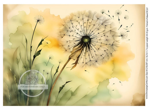 A4 Dandelions Rice Paper