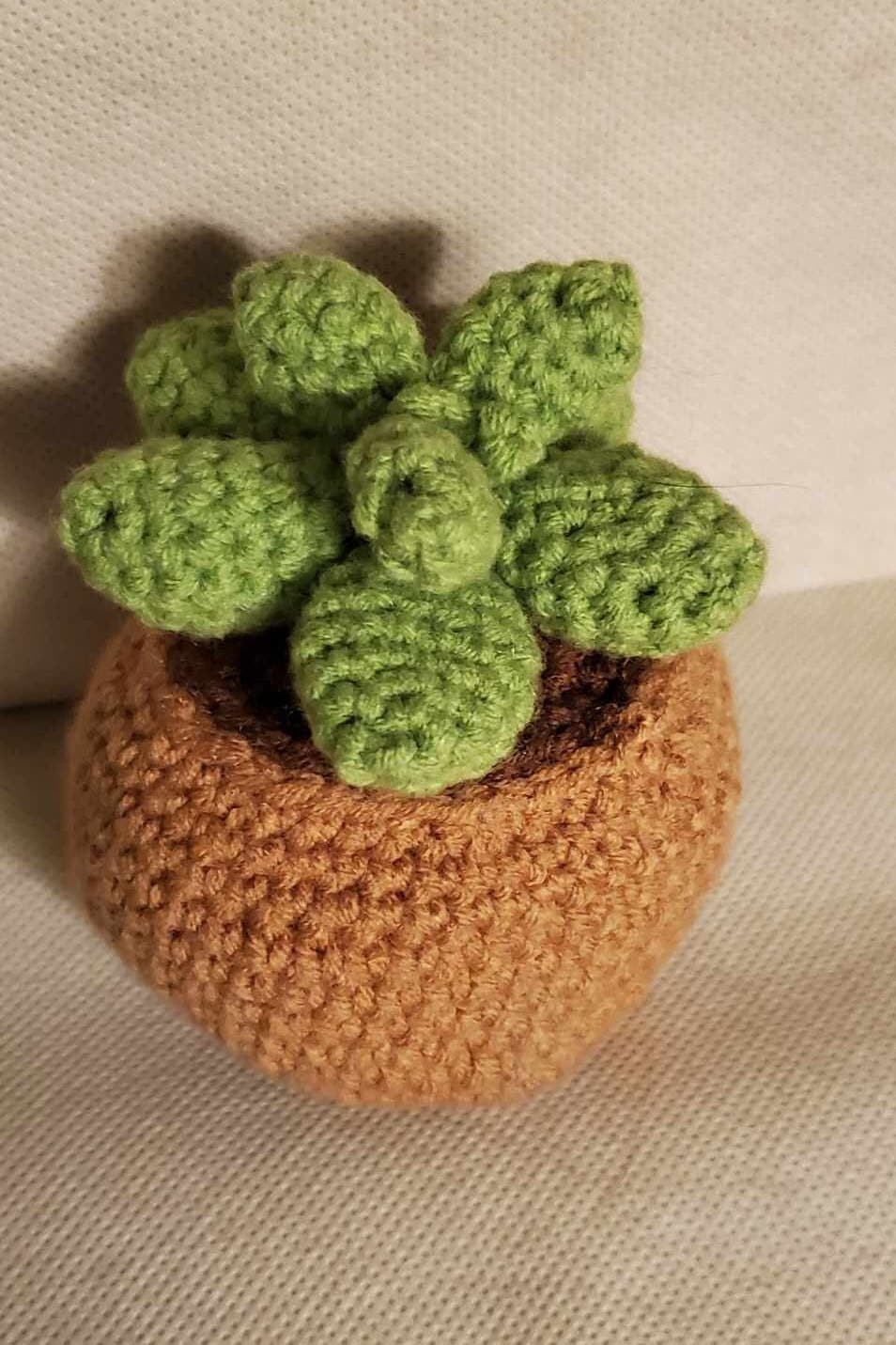 Handcrafted crochet succulent in a brown crochet pot.