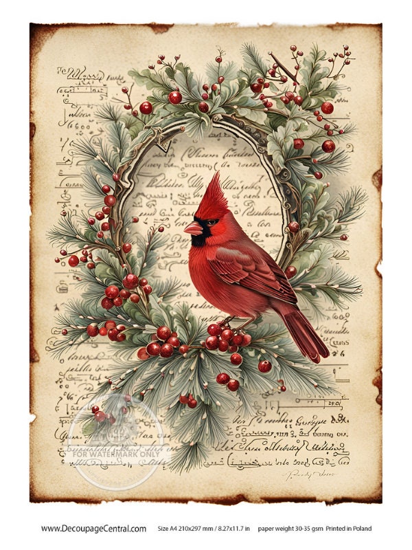 A4 Christmas Cardinal Rice Paper