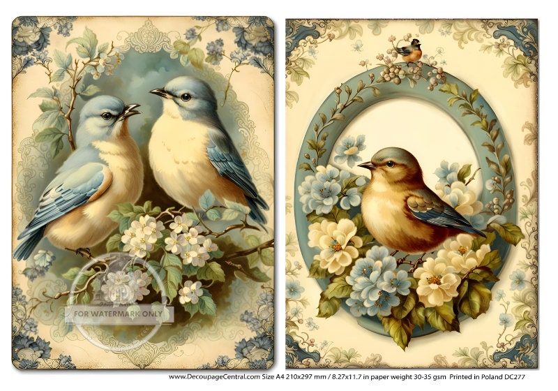 A4 Framed Birds Duo Rice Paper