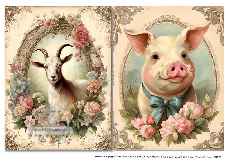 A4 Framed Dapper Pig and Goat Rice Paper